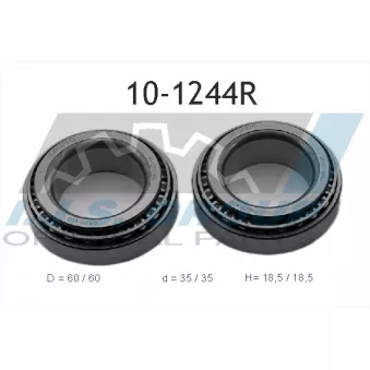IJS GROUP 10-1244R - Roulement de roue