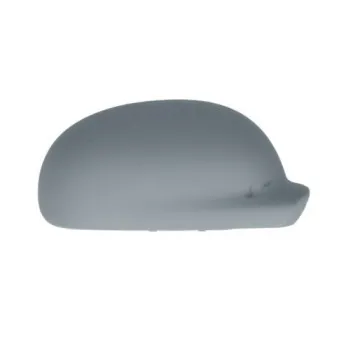 Boitier, rétroviseur extérieur BLIC OEM 815225