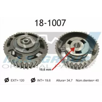 IJS GROUP 18-1007 - Pignon, pompe d'injection