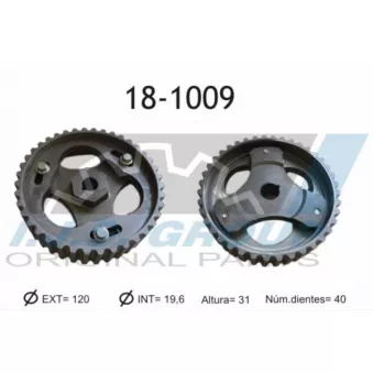 IJS GROUP 18-1009 - Pignon, pompe d'injection