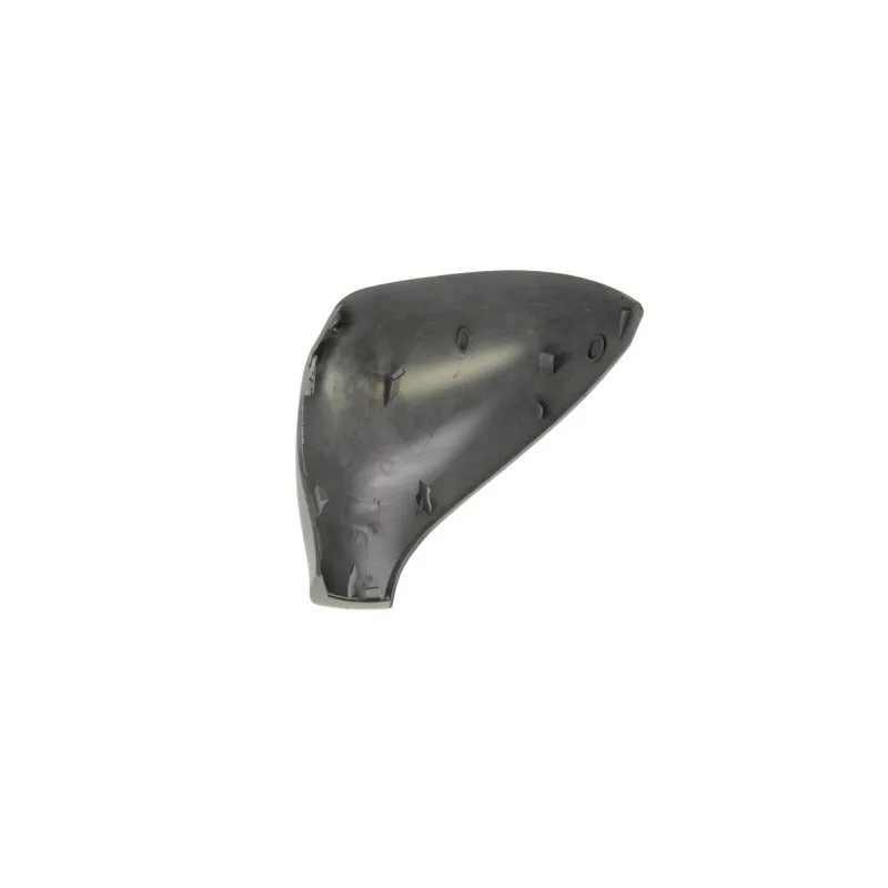 Boitier, rétroviseur extérieur BLIC 6103-01-1392282P - Visuel 1