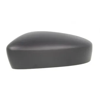 Boitier, rétroviseur extérieur BLIC 6103-01-2002599P