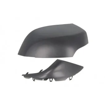 Boitier, rétroviseur extérieur BLIC 6103-09-2002149P