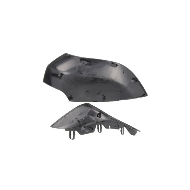 Boitier, rétroviseur extérieur BLIC 6103-09-2002149P - Visuel 1