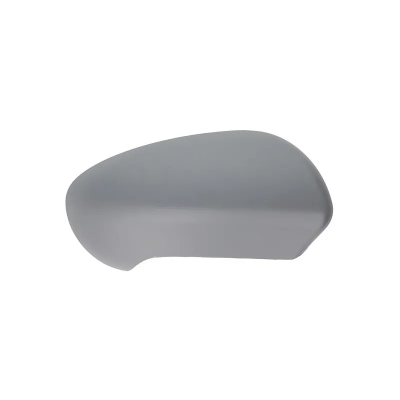 Revêtement, rétroviseur extérieur BLIC 6103-16-040352P - Visuel 1