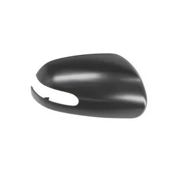 Boitier, rétroviseur extérieur BLIC 6103-53-2001500P