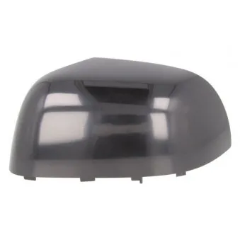 Boitier, rétroviseur extérieur BLIC OEM 963731615R