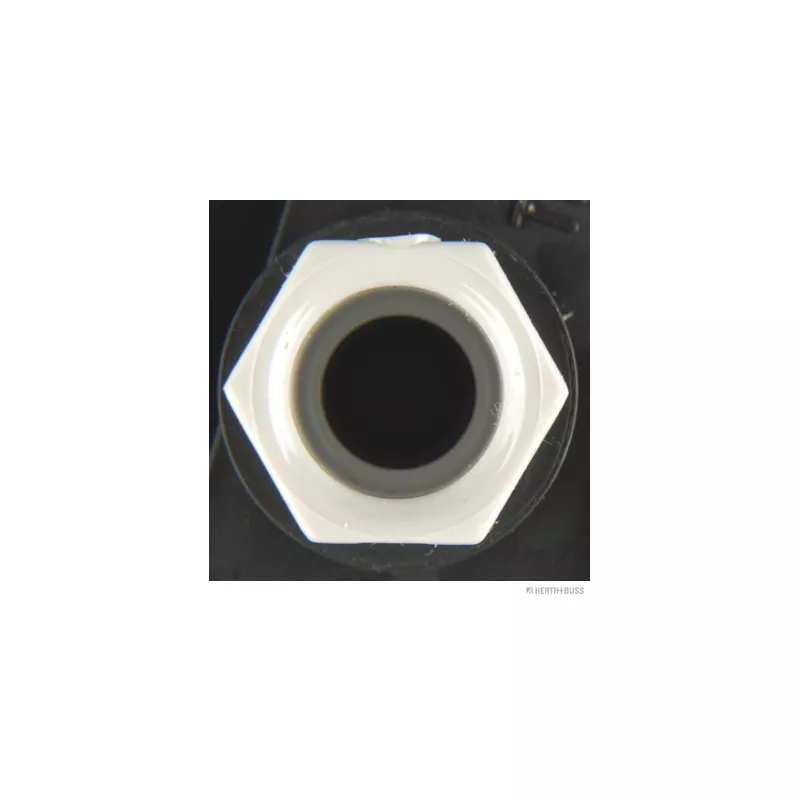 Feu éclaireur de plaque HERTH+BUSS ELPARTS 84750047 - Visuel 2