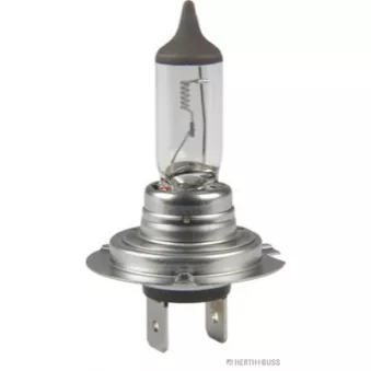 Ampoule HERTH+BUSS ELPARTS OEM 30028143