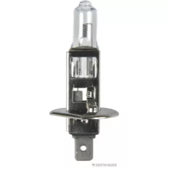 HERTH+BUSS ELPARTS 89901093 - Ampoule, projecteur longue portée