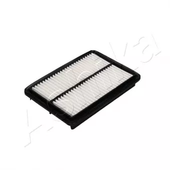 Filtre à air ASHIKA OEM 702050051