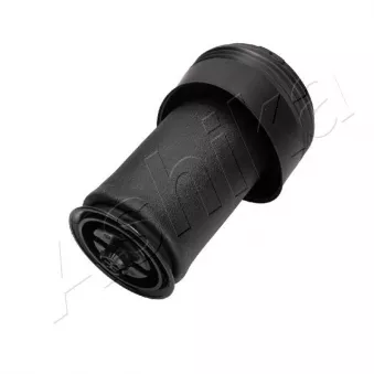 Ressort pneumatique, châssis ASHIKA OEM 37126795014