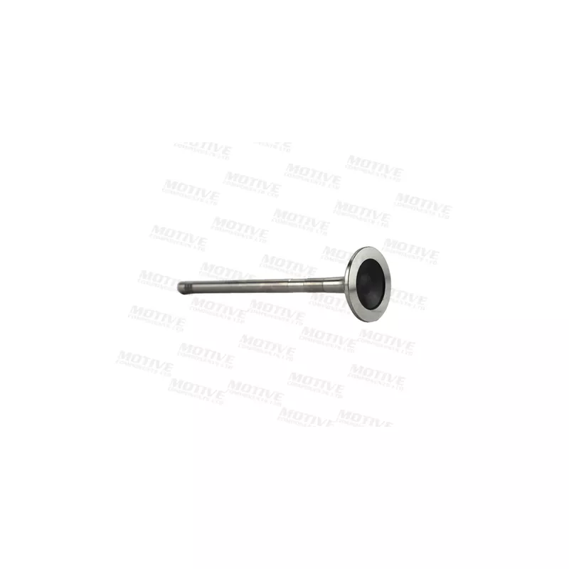 Soupape d'émission MOTIVE EV10029 - Visuel 1