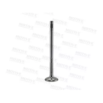 MOTIVE EV10070 - Soupape d'émission