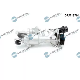 Pompe à eau, refroidissement du moteur Dr.Motor DRM12704