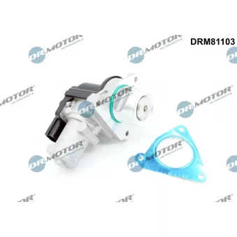 Vanne EGR Dr.Motor OEM 284102F000
