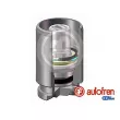 Piston, étrier de frein AUTOFREN SEINSA [D025116K]