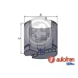 Piston, étrier de frein AUTOFREN SEINSA [D025256]