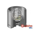 AUTOFREN SEINSA D025256LK - Piston, étrier de frein