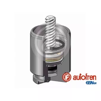 AUTOFREN SEINSA D025267K - Piston, étrier de frein