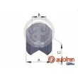 AUTOFREN SEINSA D025285 - Piston, étrier de frein