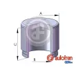 AUTOFREN SEINSA D025307 - Piston, étrier de frein