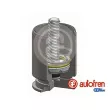 AUTOFREN SEINSA D025363LK - Piston, étrier de frein