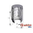 AUTOFREN SEINSA D02545 - Piston, étrier de frein