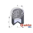 Piston, étrier de frein AUTOFREN SEINSA [D025460]
