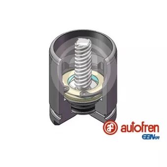 AUTOFREN SEINSA D025529K - Piston, étrier de frein