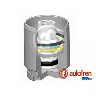 Piston, étrier de frein AUTOFREN SEINSA D025545K