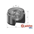 AUTOFREN SEINSA D025565 - Piston, étrier de frein