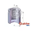 Piston, étrier de frein AUTOFREN SEINSA [D02559]