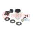 AUTOFREN SEINSA D025620K1 - Piston, étrier de frein