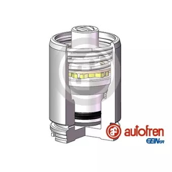 Piston, étrier de frein AUTOFREN SEINSA D025629K