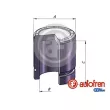 Piston, étrier de frein AUTOFREN SEINSA [D025639]