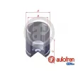 Piston, étrier de frein AUTOFREN SEINSA [D025688]