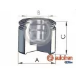 Piston, étrier de frein AUTOFREN SEINSA [D025707]