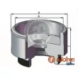 AUTOFREN SEINSA D025721 - Piston, étrier de frein