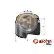 Piston, étrier de frein AUTOFREN SEINSA [D025731]