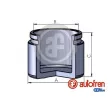 AUTOFREN SEINSA D025873 - Piston, étrier de frein