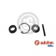 Kit de réparation, maître-cylindre de frein AUTOFREN SEINSA [D1109]