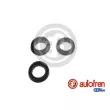 AUTOFREN SEINSA D11150 - Kit de réparation, maître-cylindre de frein