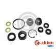 Kit de réparation, maître-cylindre de frein AUTOFREN SEINSA [D1148]