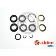 Kit de réparation, maître-cylindre de frein AUTOFREN SEINSA [D1538]