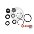 AUTOFREN SEINSA D1741 - Kit de réparation, maître-cylindre de frein