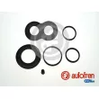 AUTOFREN SEINSA D4125 - Kit de réparation, étrier de frein