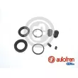 AUTOFREN SEINSA D41673 - Kit de réparation, étrier de frein