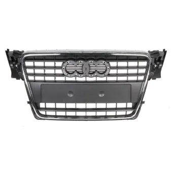 BLIC 6502-07-0029991Q - Grille de radiateur