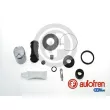 AUTOFREN SEINSA D42318C - Kit de réparation, étrier de frein